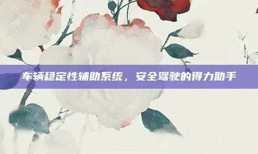 车辆稳定性辅助系统,安全驾驶的得力助手