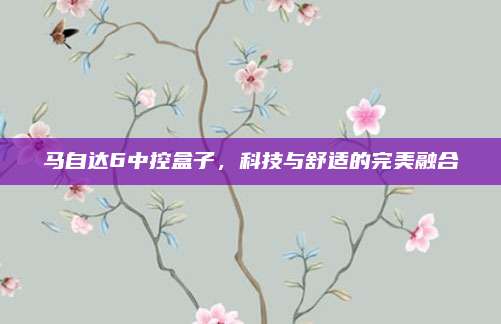 马自达6中控盒子,科技与舒适的完美融合