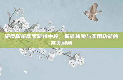 深度解析欧宝雅特中控，智能体验与实用功能的完美融合