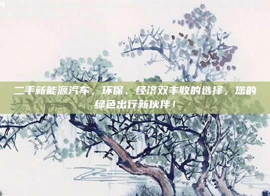 二手新能源汽车,环保、经济双丰收的选择,您的绿色出行新伙伴!