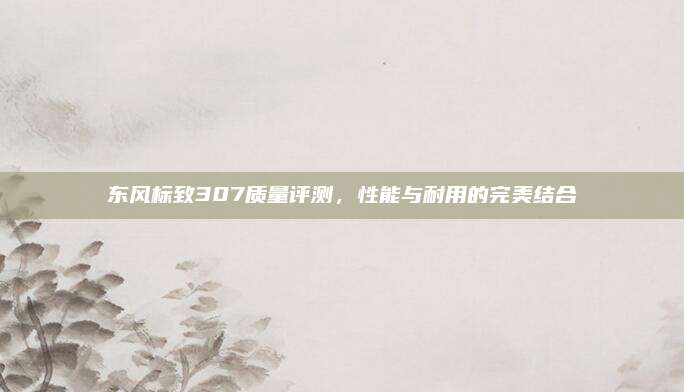东风标致307质量评测，性能与耐用的完美结合