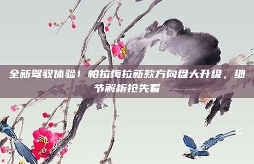 全新驾驭体验!帕拉梅拉新款方向盘大升级,细节解析抢先看