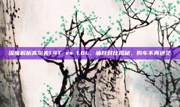 深度解析高尔夫1.4T vs 1.6L,油耗对比揭秘,购车不再迷茫