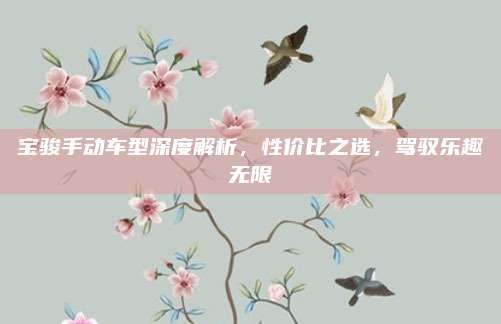 宝骏手动车型深度解析，性价比之选，驾驭乐趣无限