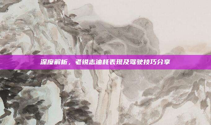深度解析,老锐志油耗表现及驾驶技巧分享