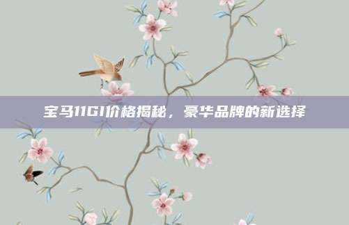 宝马11GI价格揭秘,豪华品牌的新选择