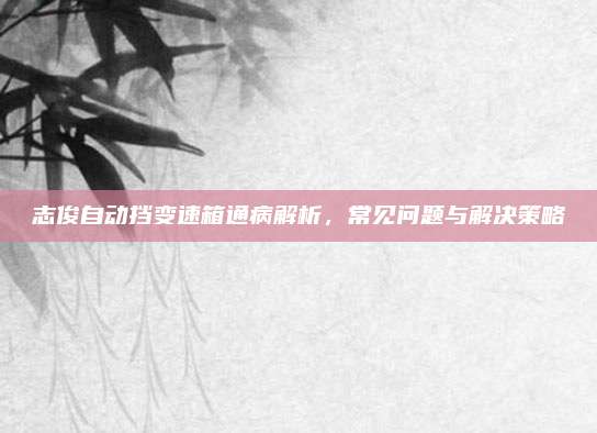 志俊自动挡变速箱通病解析，常见问题与解决策略