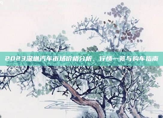 2023深圳汽车市场价格分析，行情一览与购车指南