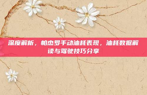 深度解析,帕杰罗手动油耗表现,油耗数据解读与驾驶技巧分享