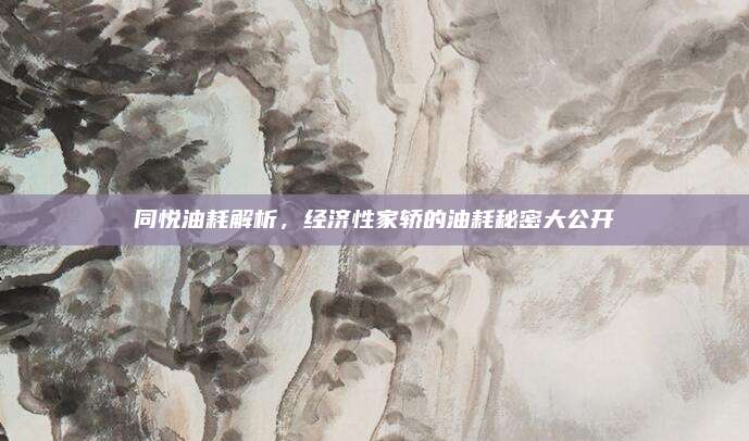 同悦油耗解析,经济性家轿的油耗秘密大公开