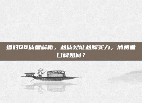 猎豹Q6质量解析,品质见证品牌实力,消费者口碑如何?