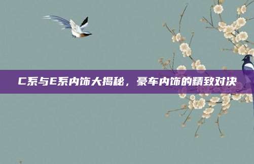 C系与E系内饰大揭秘,豪车内饰的精致对决