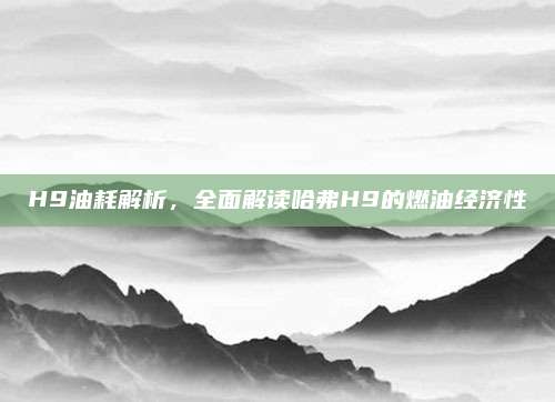 H9油耗解析,全面解读哈弗H9的燃油经济性