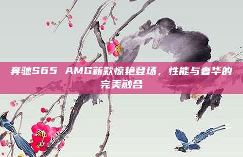 奔驰S65 AMG新款惊艳登场,性能与奢华的完美融合