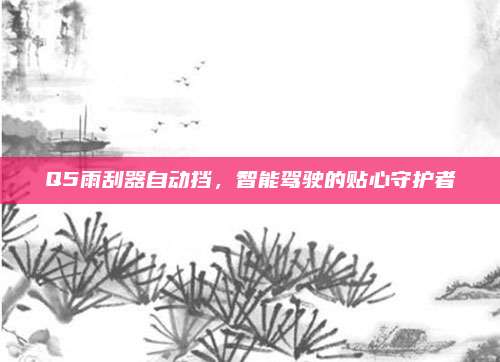 Q5雨刮器自动挡,智能驾驶的贴心守护者