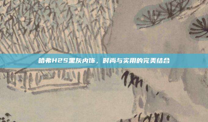 哈弗H2S黑灰内饰,时尚与实用的完美结合