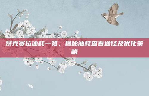 昂克赛拉油耗一览,揭秘油耗查看途径及优化策略
