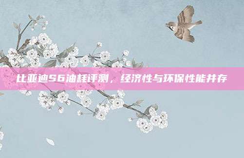 比亚迪S6油耗评测，经济性与环保性能并存