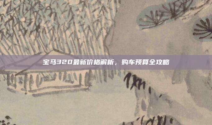 宝马320最新价格解析,购车预算全攻略