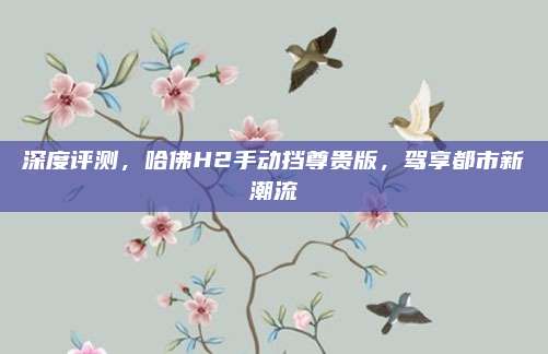 深度评测,哈佛H2手动挡尊贵版,驾享都市新潮流