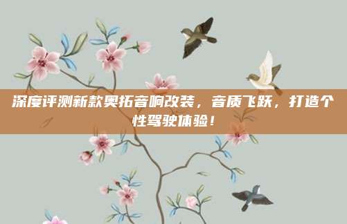 深度评测新款奥拓音响改装，音质飞跃，打造个性驾驶体验！