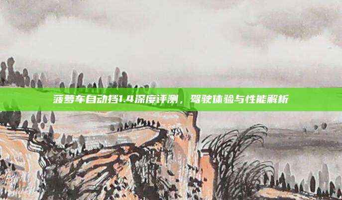 菠萝车自动挡1.4深度评测,驾驶体验与性能解析