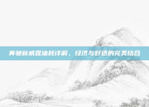 奔驰新威霆油耗详解,经济与舒适的完美结合