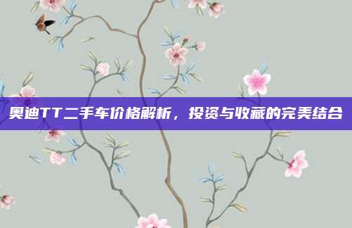 奥迪TT二手车价格解析，投资与收藏的完美结合