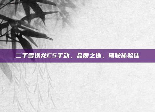 二手雪铁龙C5手动,品质之选,驾驶体验佳