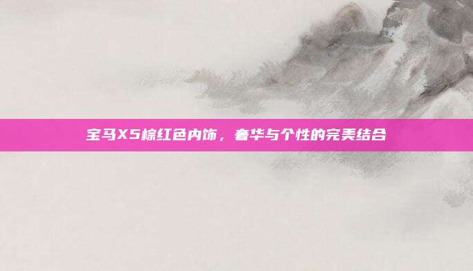 宝马X5棕红色内饰，奢华与个性的完美结合