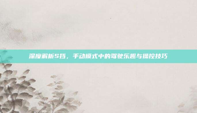 深度解析S挡,手动模式中的驾驶乐趣与操控技巧