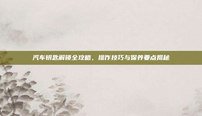 汽车钥匙解锁全攻略，操作技巧与保养要点揭秘
