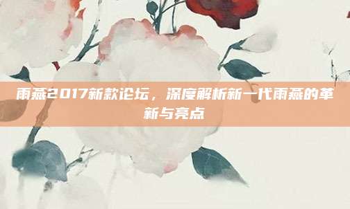 雨燕2017新款论坛,深度解析新一代雨燕的革新与亮点