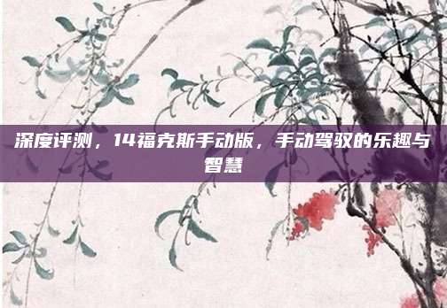 深度评测，14福克斯手动版，手动驾驭的乐趣与智慧
