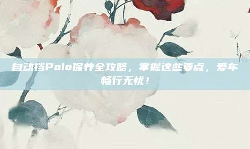 自动挡Polo保养全攻略,掌握这些要点,爱车畅行无忧!