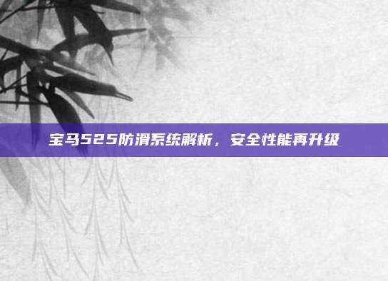 宝马525防滑系统解析，安全性能再升级