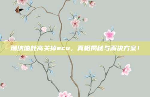 瑞纳油耗高关掉ecu,真相揭秘与解决方案!