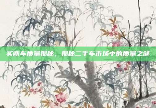 买断车质量揭秘，揭秘二手车市场中的质量之谜