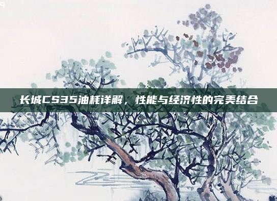 长城CS35油耗详解,性能与经济性的完美结合