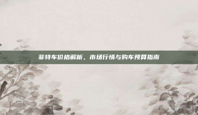 菲特车价格解析,市场行情与购车预算指南