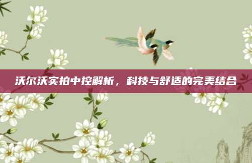 沃尔沃实拍中控解析，科技与舒适的完美结合
