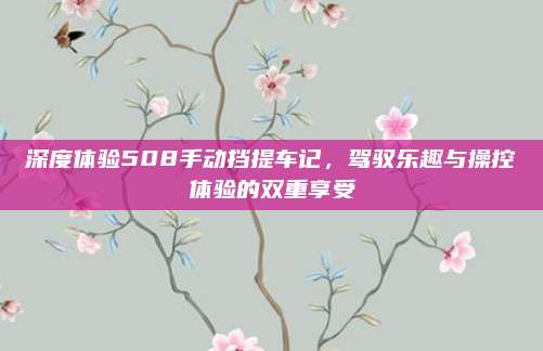 深度体验508手动挡提车记，驾驭乐趣与操控体验的双重享受