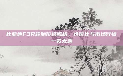 比亚迪F3R轮胎价格解析，性价比与市场行情一览无遗