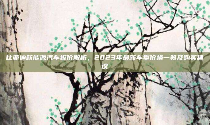 比亚迪新能源汽车报价解析,2023年最新车型价格一览及购买建议