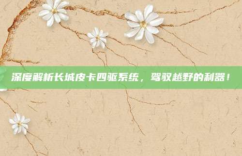 深度解析长城皮卡四驱系统，驾驭越野的利器！