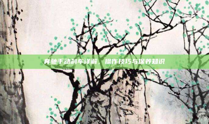 奔驰手动刹车详解,操作技巧与保养知识