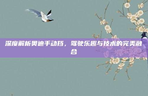 深度解析奥迪手动挡,驾驶乐趣与技术的完美融合