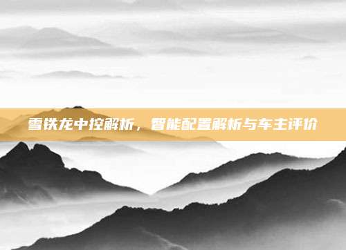 雪铁龙中控解析,智能配置解析与车主评价
