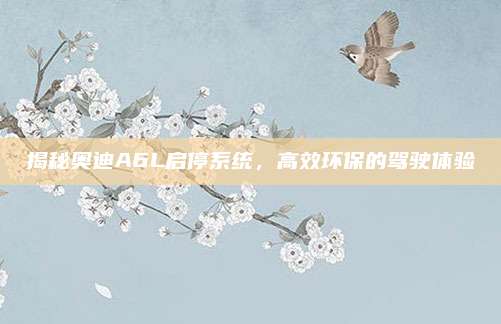 揭秘奥迪A6L启停系统，高效环保的驾驶体验