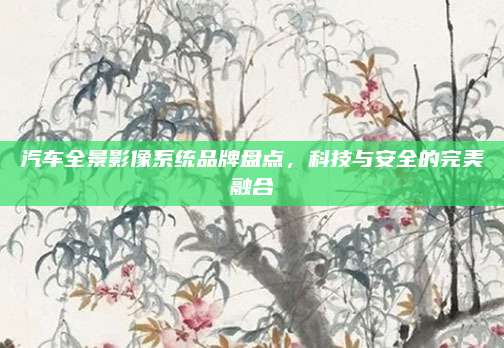 汽车全景影像系统品牌盘点,科技与安全的完美融合